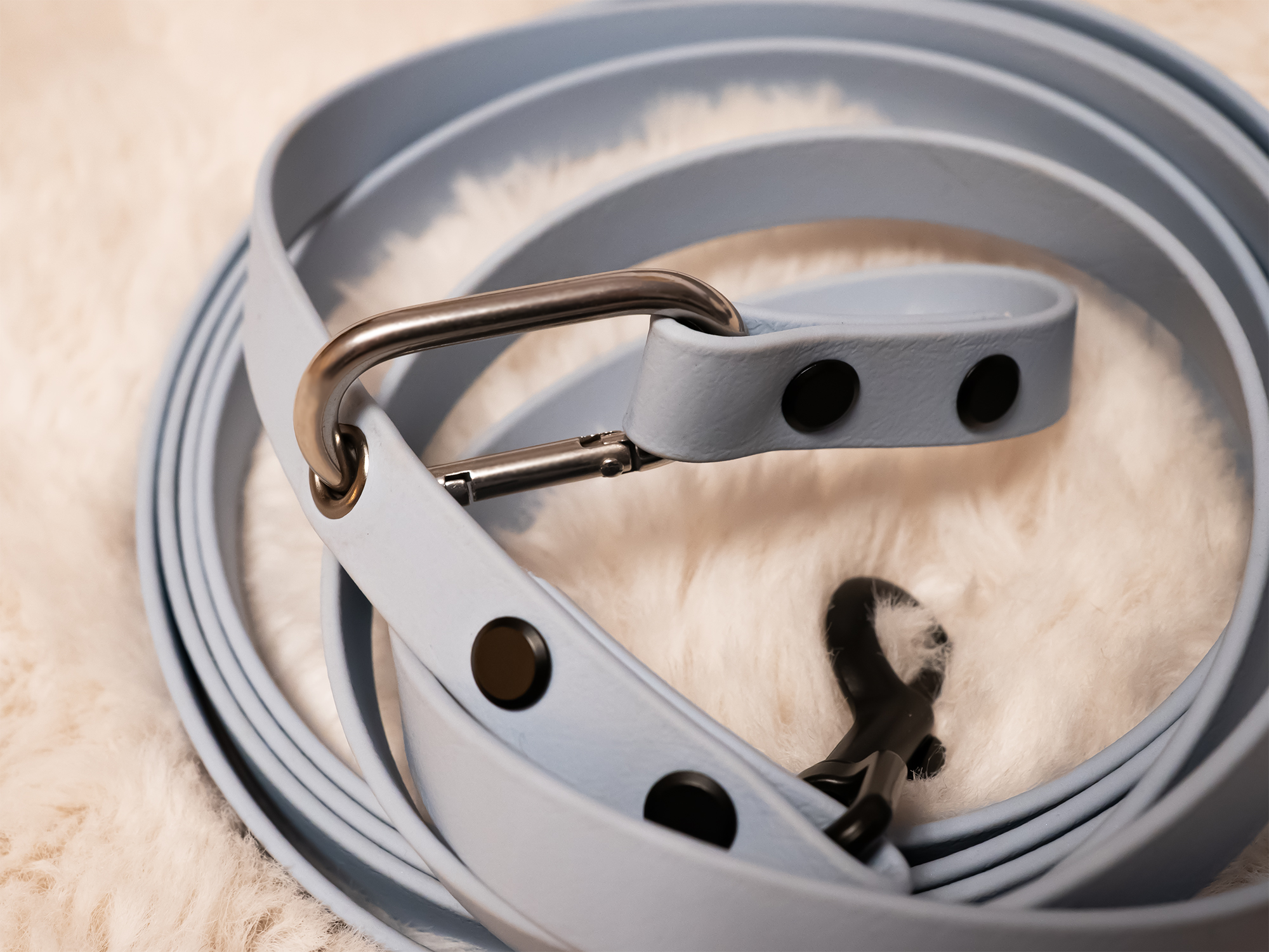 BioThane® Leine 19 mm – Bild 3