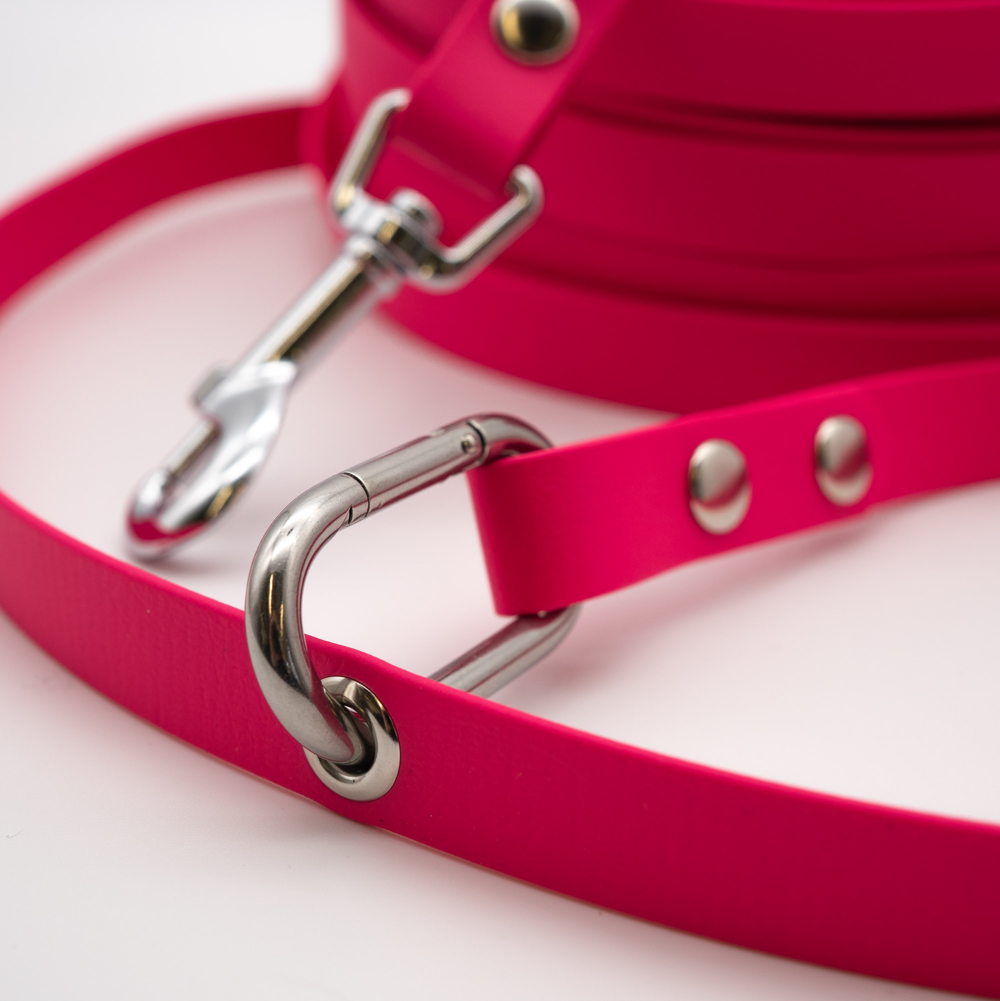 Super Flex BioThane® Leine 16 mm – ab 4,8 m – Bild 2